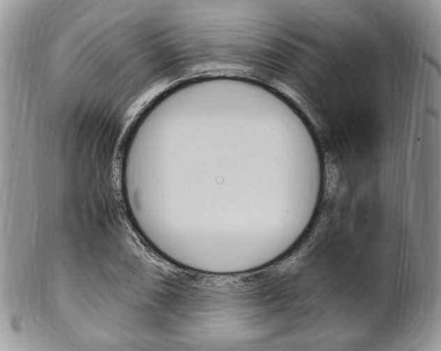 X0000102841074200808181020