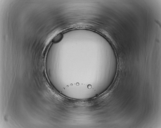 X0000102841075200808181020