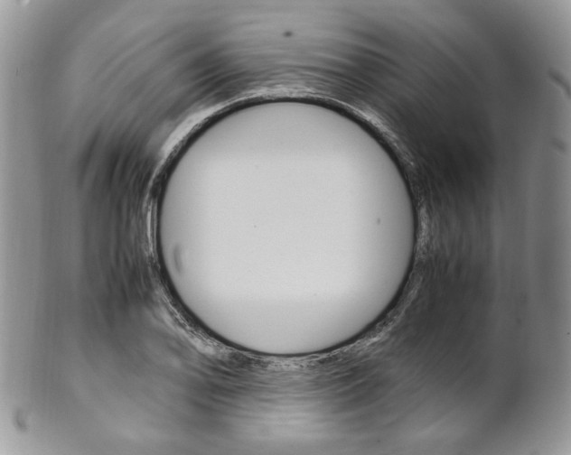 X0000102841078200808181019