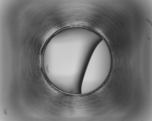 X0000102841079200808181019