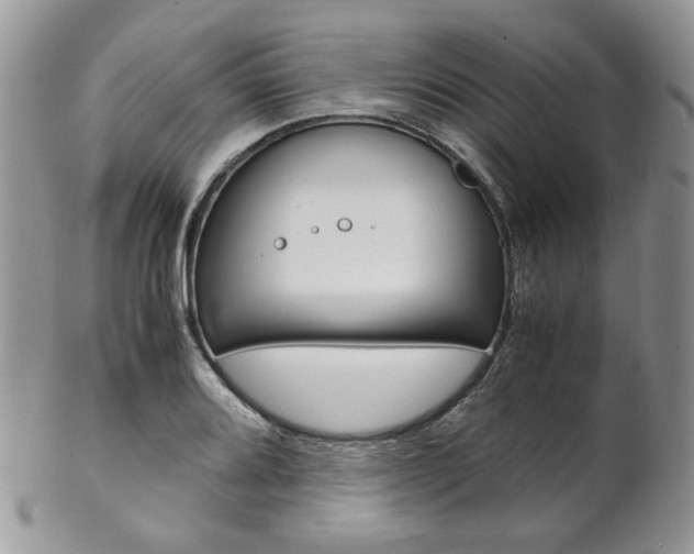 X0000102841080200808181019