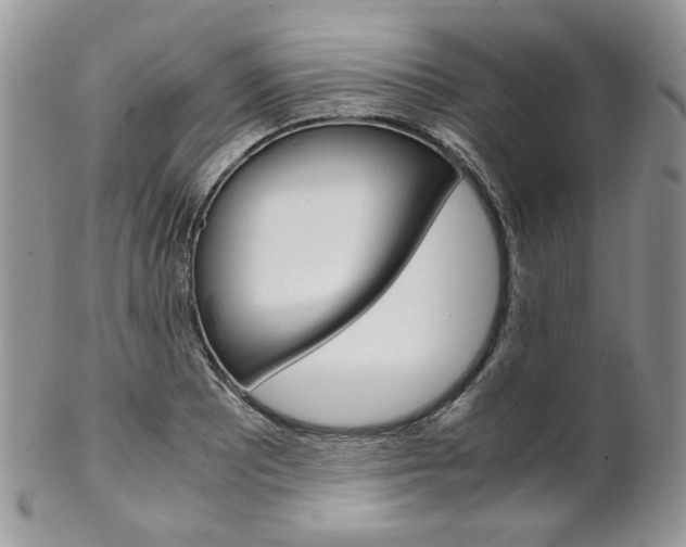 X0000102841081200808181019