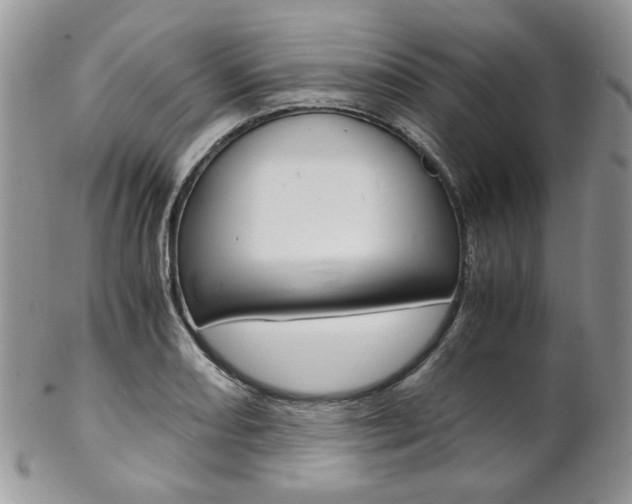 X0000102841082200808181019