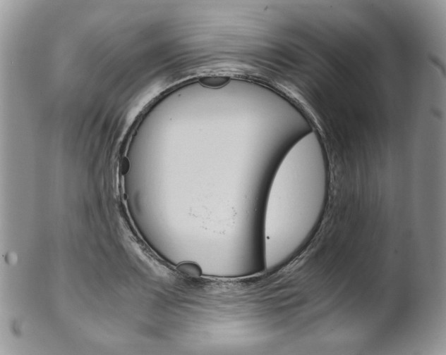 X0000102841083200808181019
