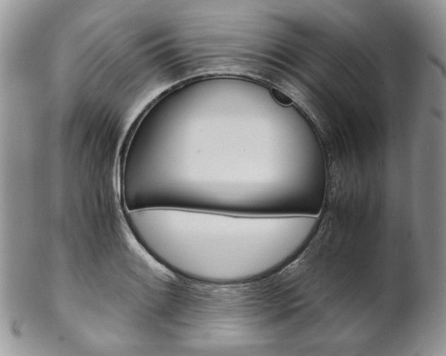 X0000102841084200808181019