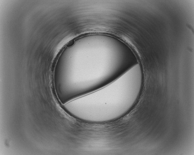 X0000102841085200808181019