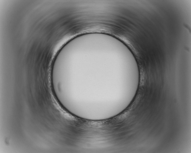 X0000102841086200808181019