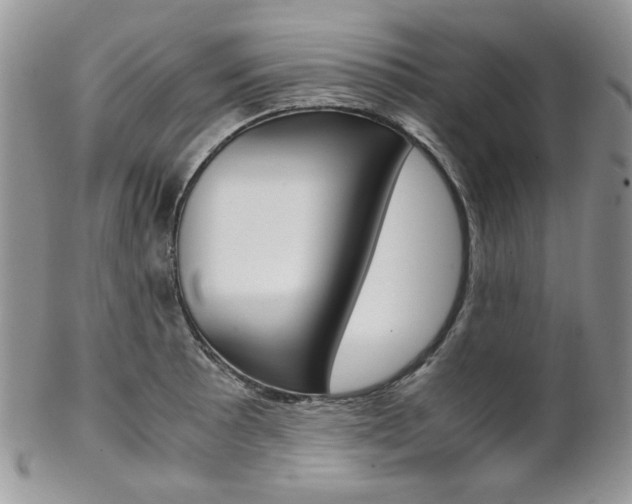 X0000102841089200808181019