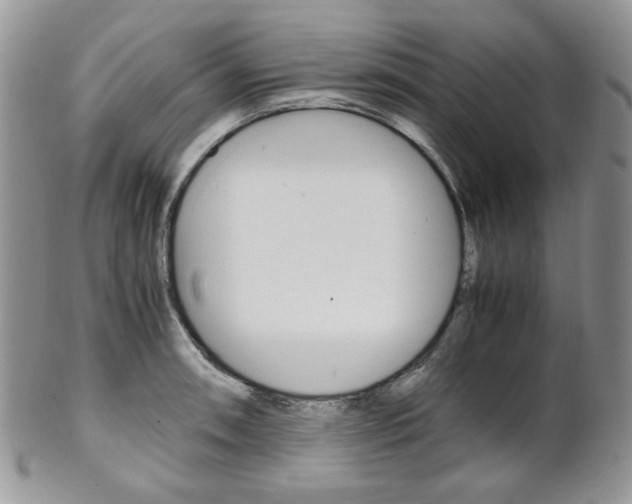 X0000102841090200808181019