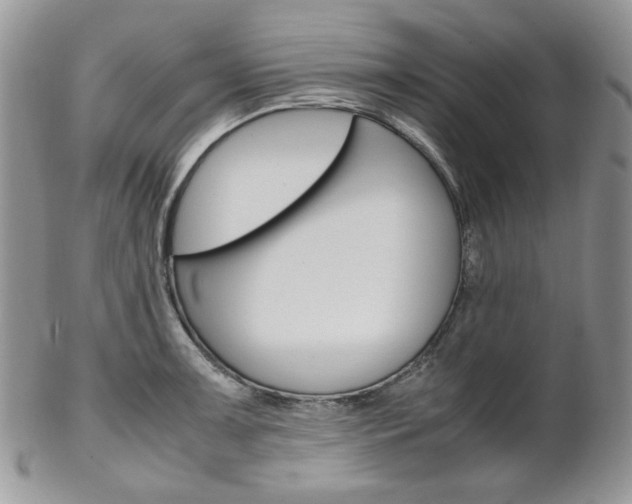 X0000102841091200808181019