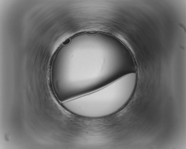 X0000102841093200808181019