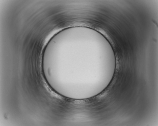 X0000102841094200808181019