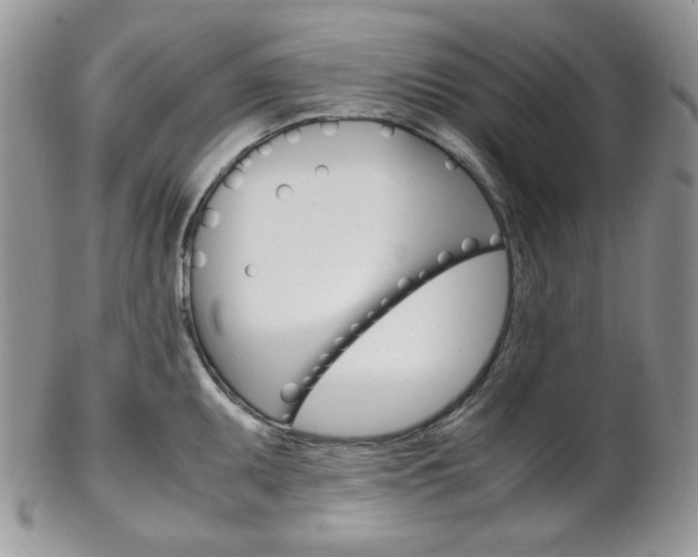 X0000102841095200808181019