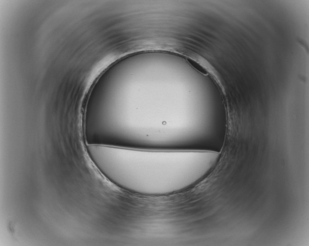 X0000102841096200808181019
