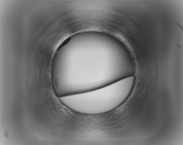 X0000102841097200808181019