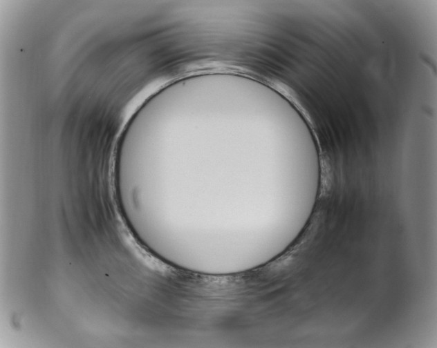X0000102841098200808181019