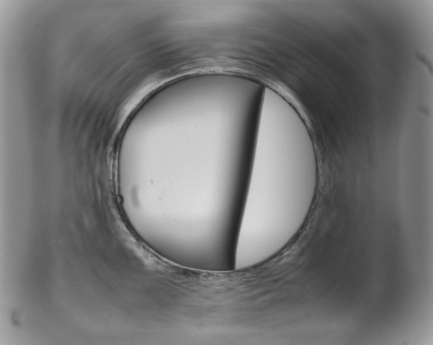 X0000102841099200808181019