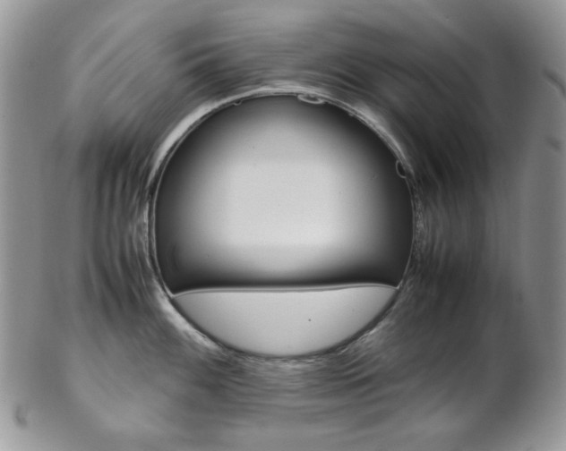 X0000102841100200808181019