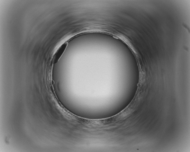 X0000102841101200808181019