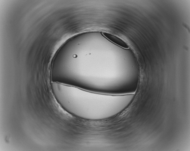 X0000102841102200808181019