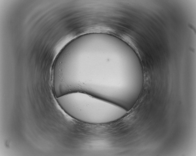 X0000102841103200808181019
