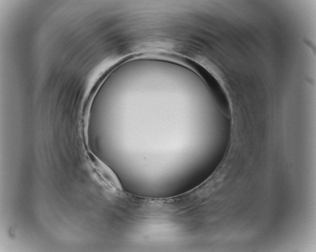X0000102841104200808181019