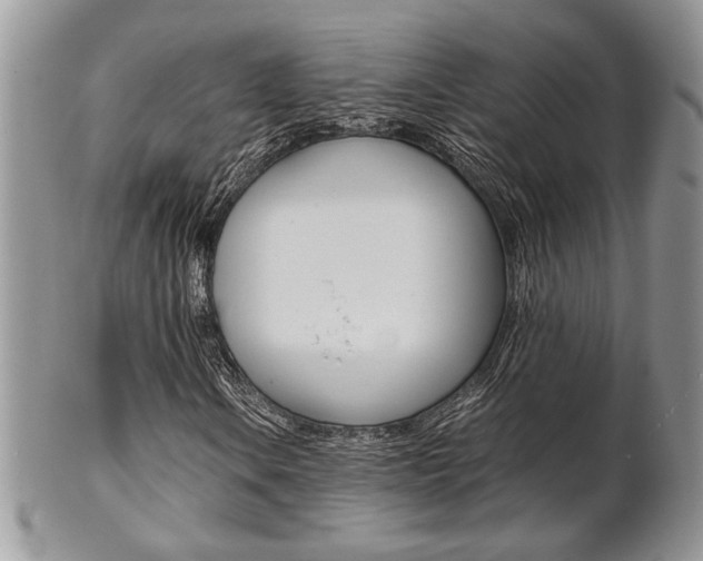 X0000102841106200808181018