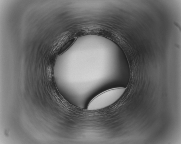 X0000102841108200808181018
