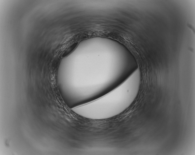 X0000102841109200808181019