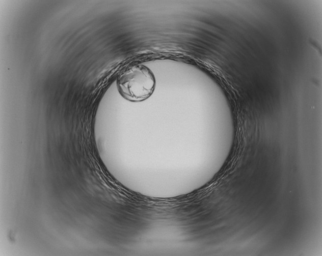X0000102841110200808181019