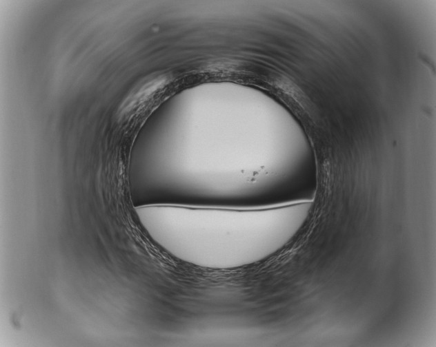 X0000102841111200808181019