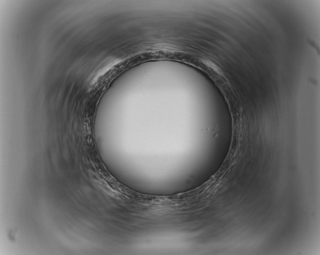 X0000102841112200808181019