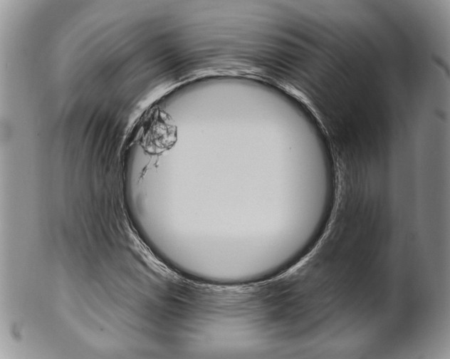 X0000102841114200808181019