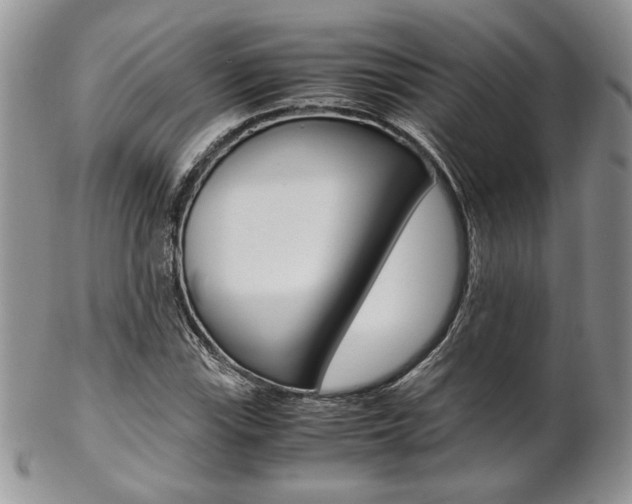 X0000102841115200808181019