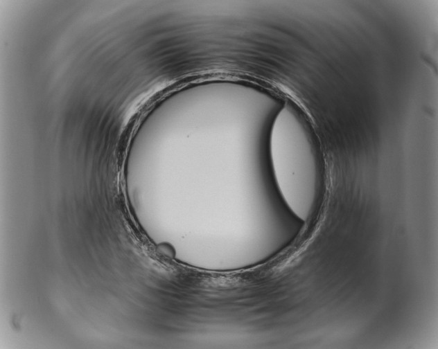 X0000102841117200808181019