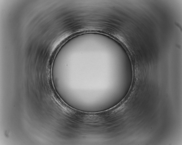 X0000102841119200808181019