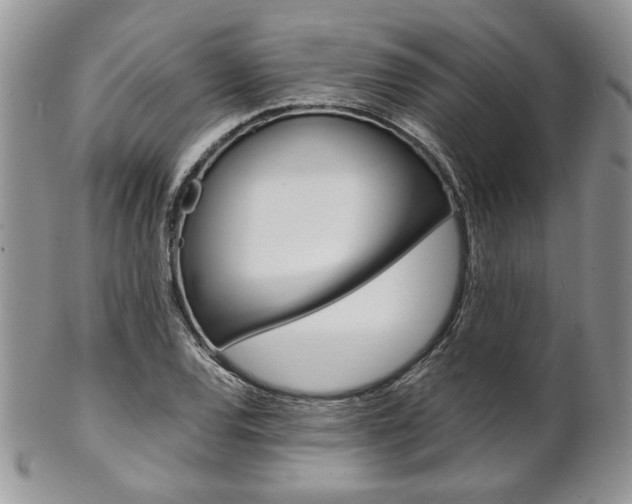 X0000102841120200808181019