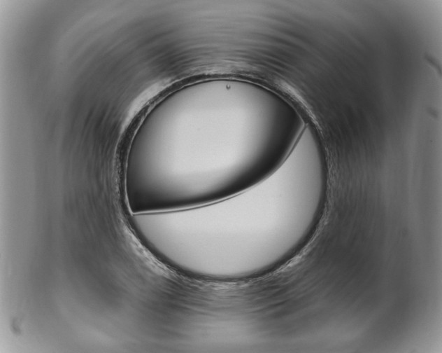 X0000102841122200808181019