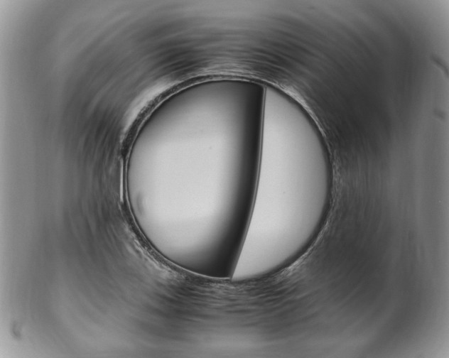 X0000102841123200808181019