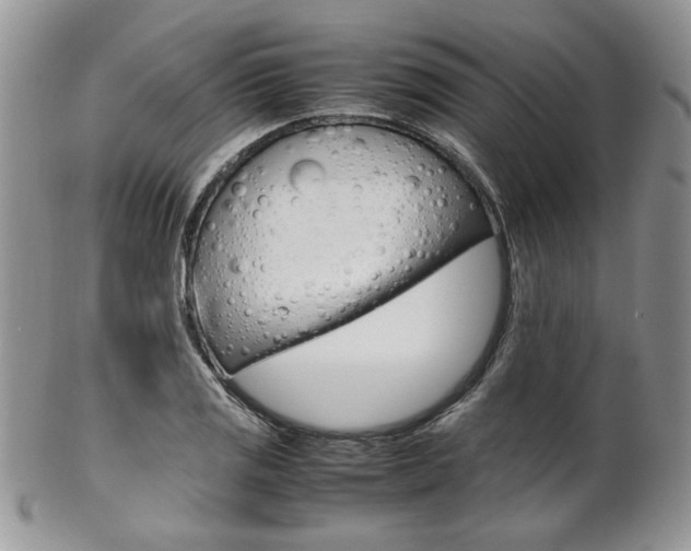X0000102841125200808181019