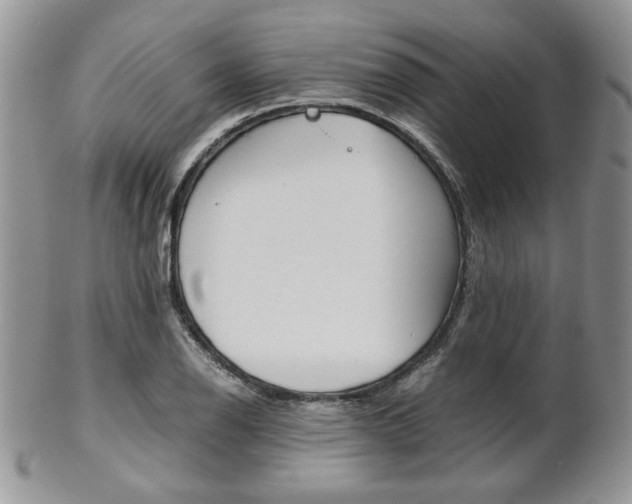 X0000102841126200808181019