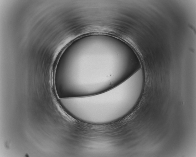 X0000102841128200808181019