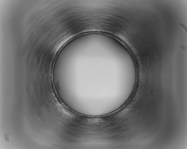 X0000102841129200808181019