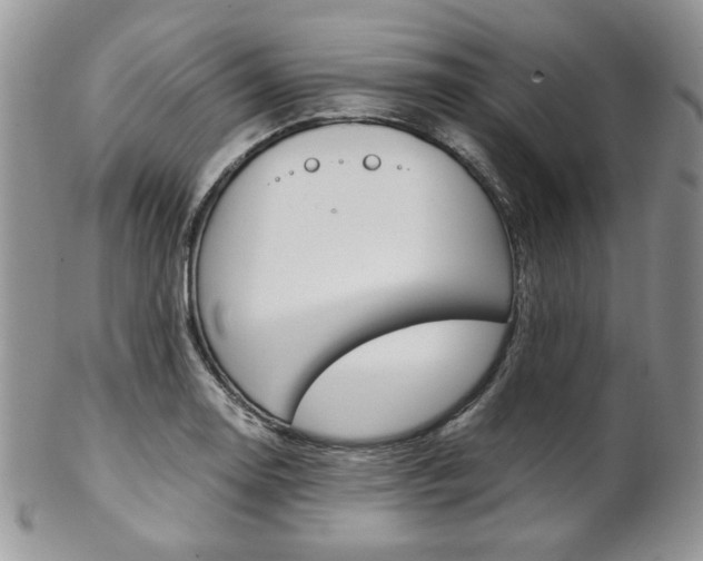 X0000102841130200808181019