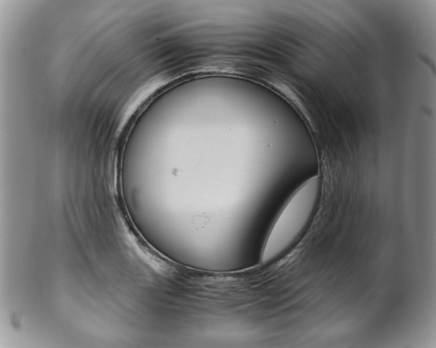 X0000102841131200808181019