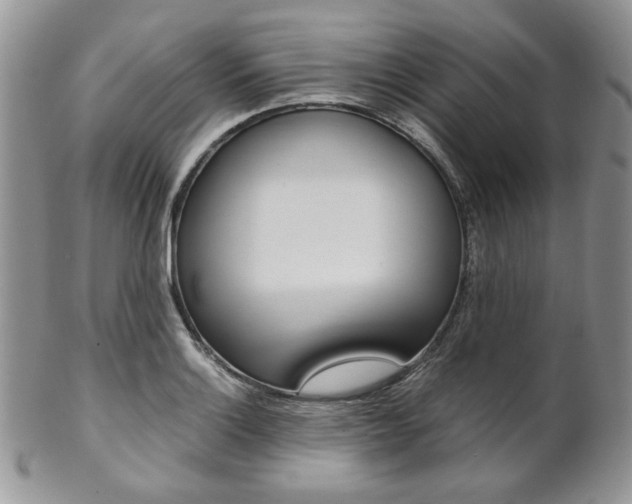 X0000102841132200808181019