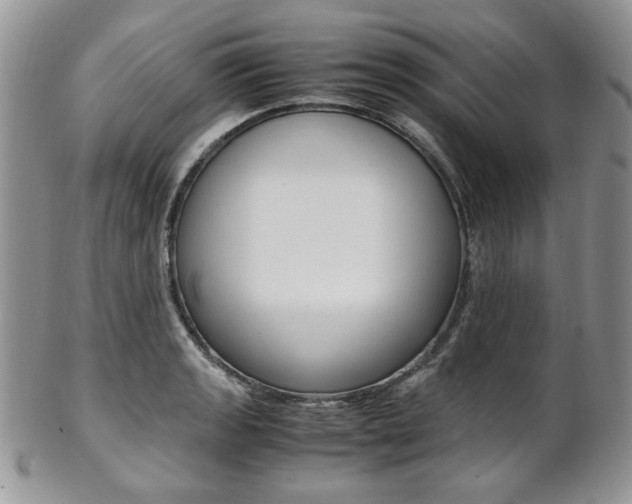 X0000102841133200808181019