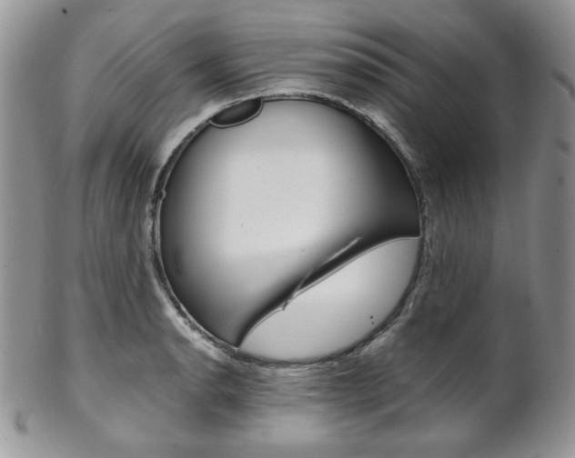 X0000102841134200808181019