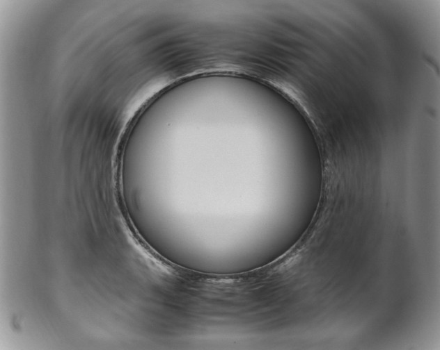 X0000102841135200808181019