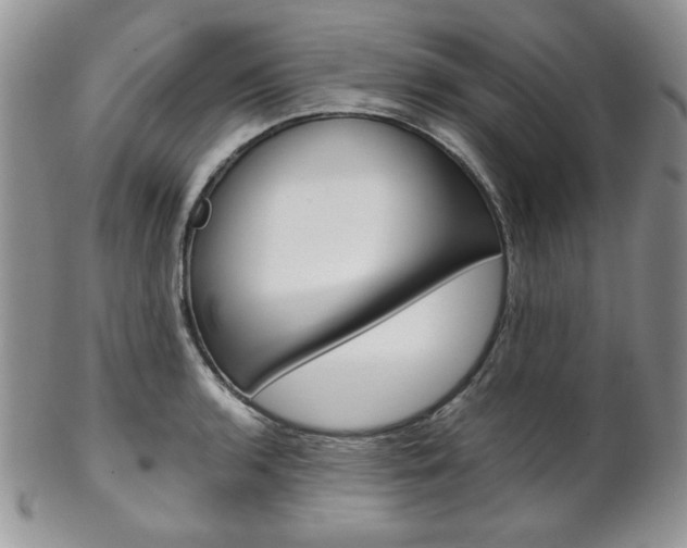 X0000102841136200808181019